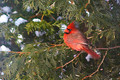 Vermont-12