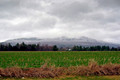Vermont-1