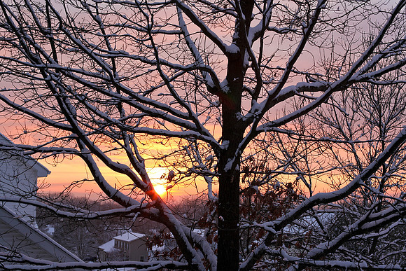 Vermont-30