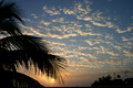 Key West-3