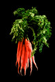 Nature-7