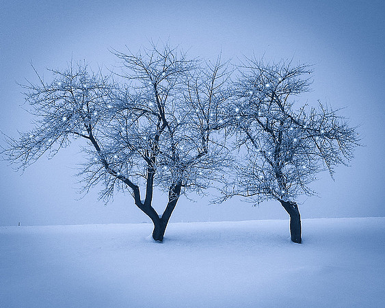 Vermont-29